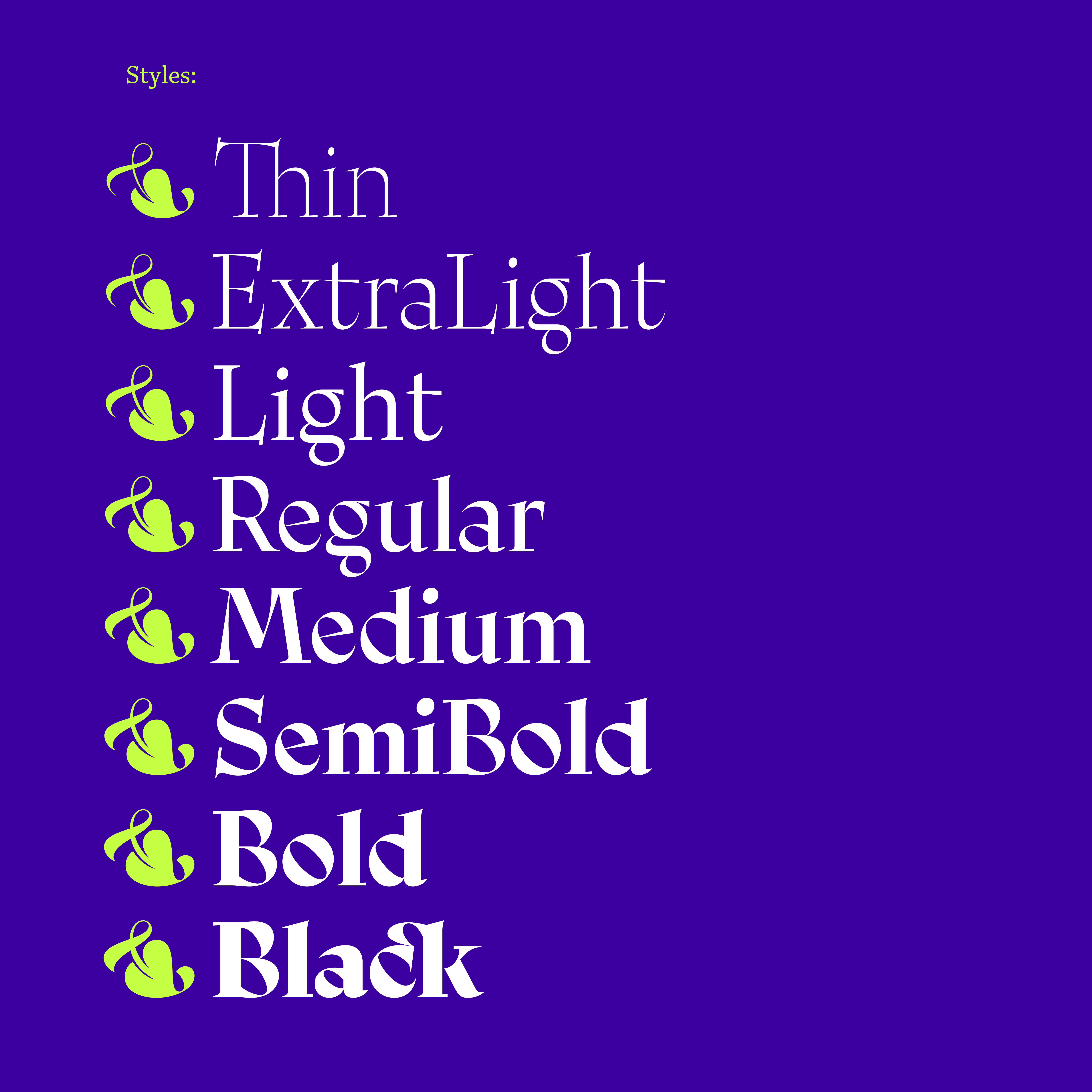 Ciclo Display Desktop - Image 4
