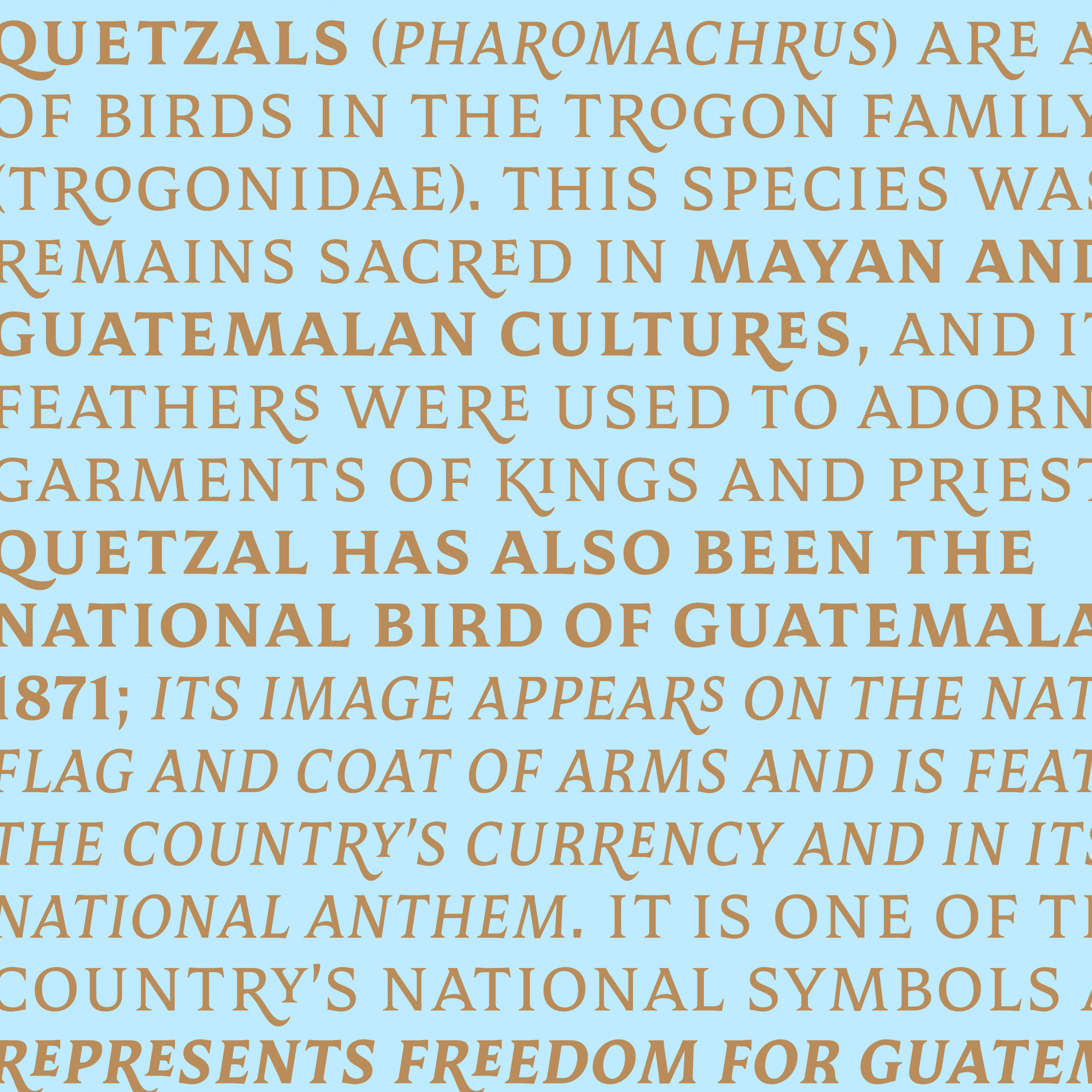 Mestiza Text 4 Pack Desktop - Image 5